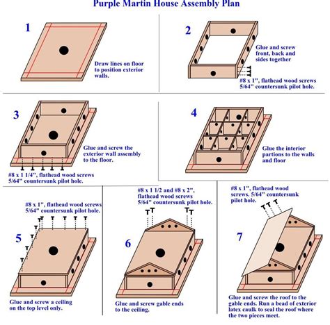 Bats, however, descended from a long line of non-winged mammals, whereas bird wings evolved. . Blueprint purple martin bird house plans